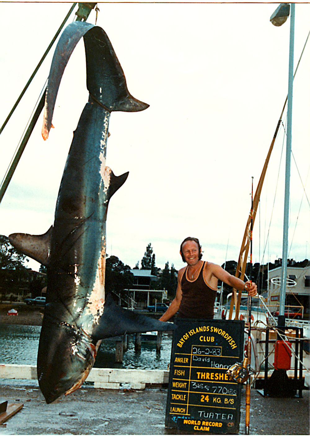 World Record Thresher Shark!